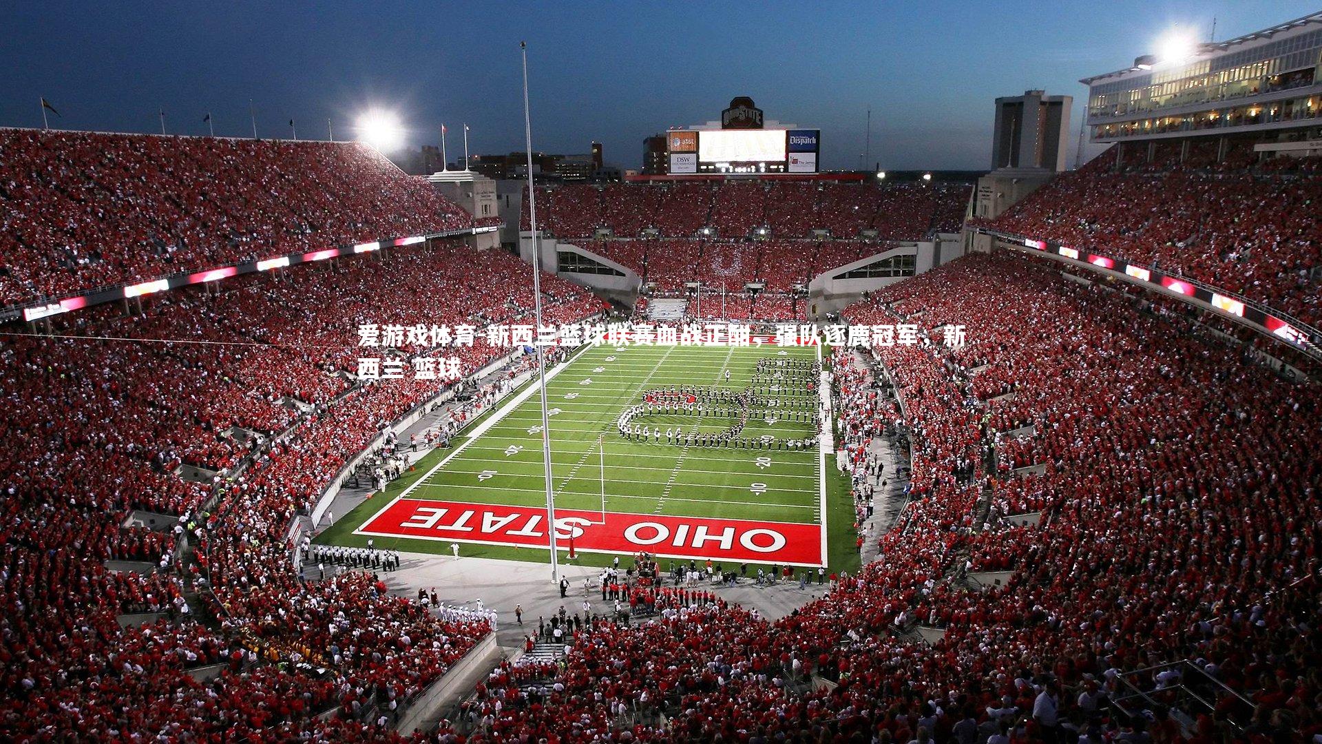 新西兰篮球联赛血战正酣，强队逐鹿冠军，新西兰 篮球